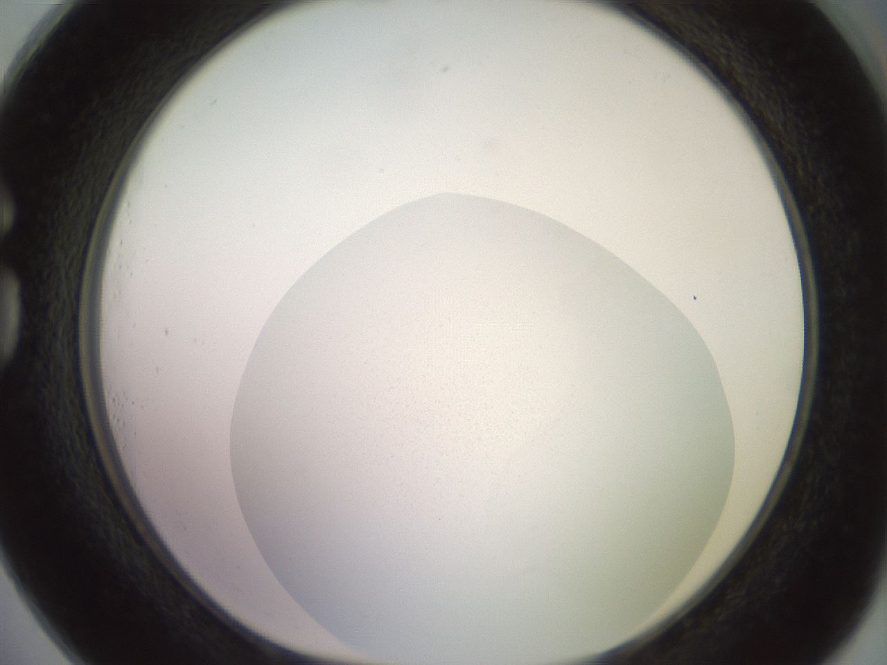 folderID672_plateID3672_batchID22058_wellNum73_profileID1_d1_r325377_ef.jpg