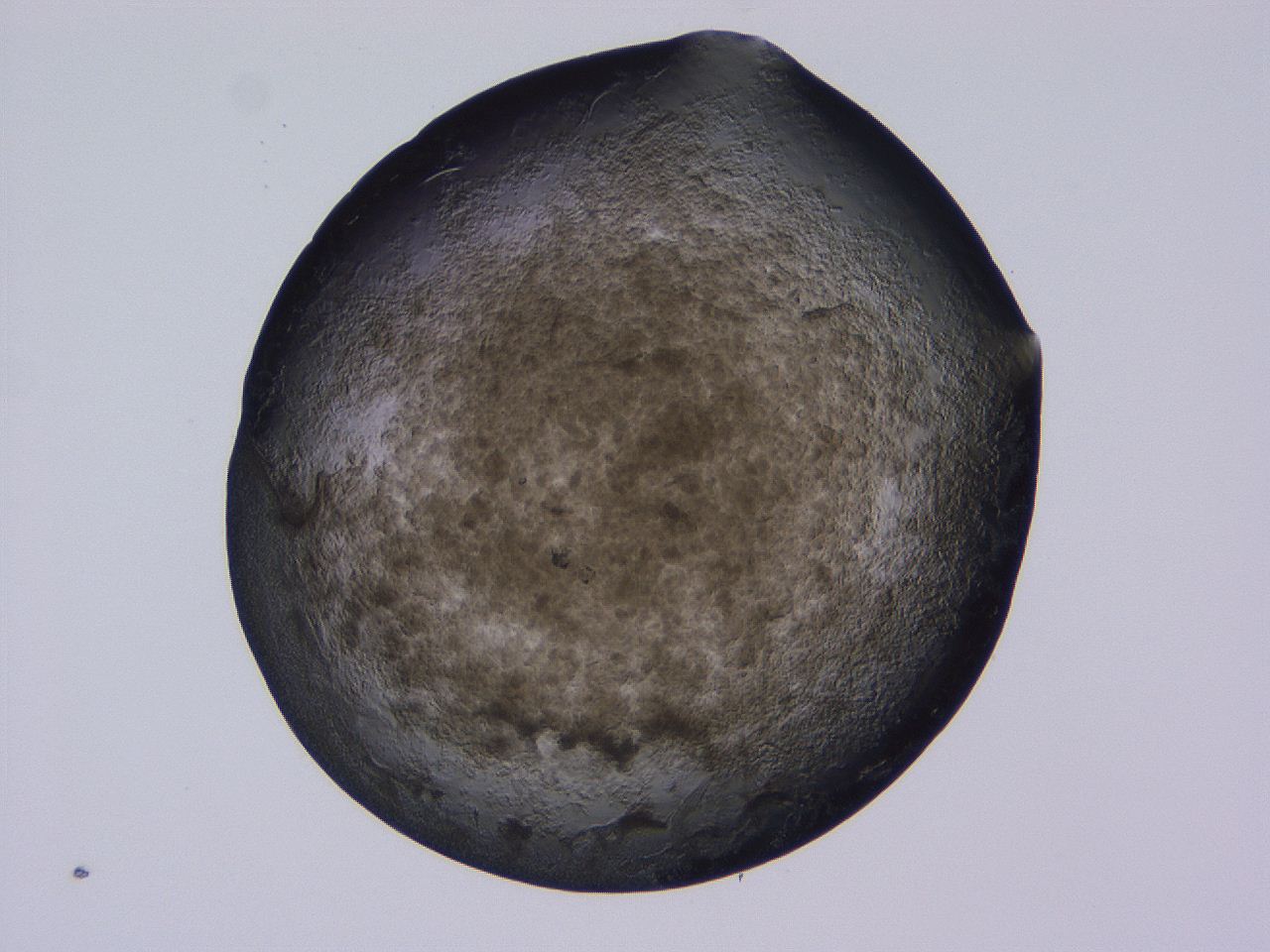04b9_D11_ImagerDefaults_3.jpg