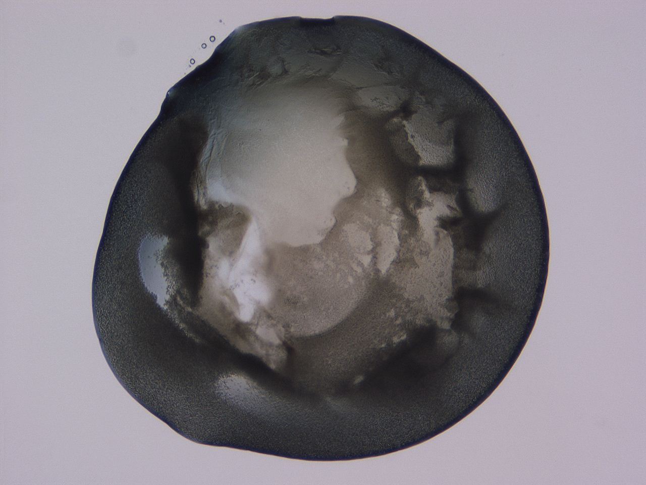 04b9_D12_ImagerDefaults_3.jpg