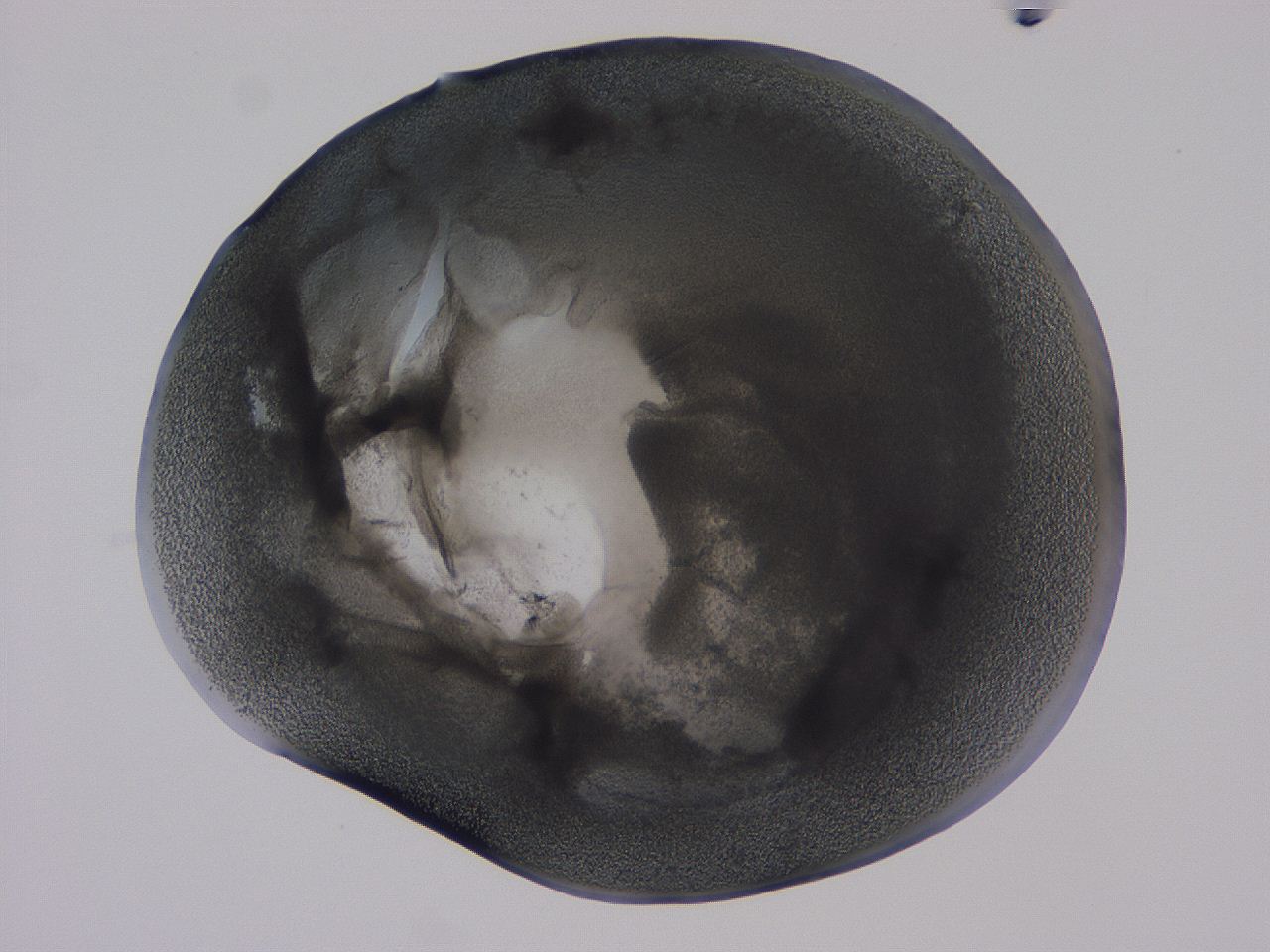 04b9_E11_ImagerDefaults_3.jpg