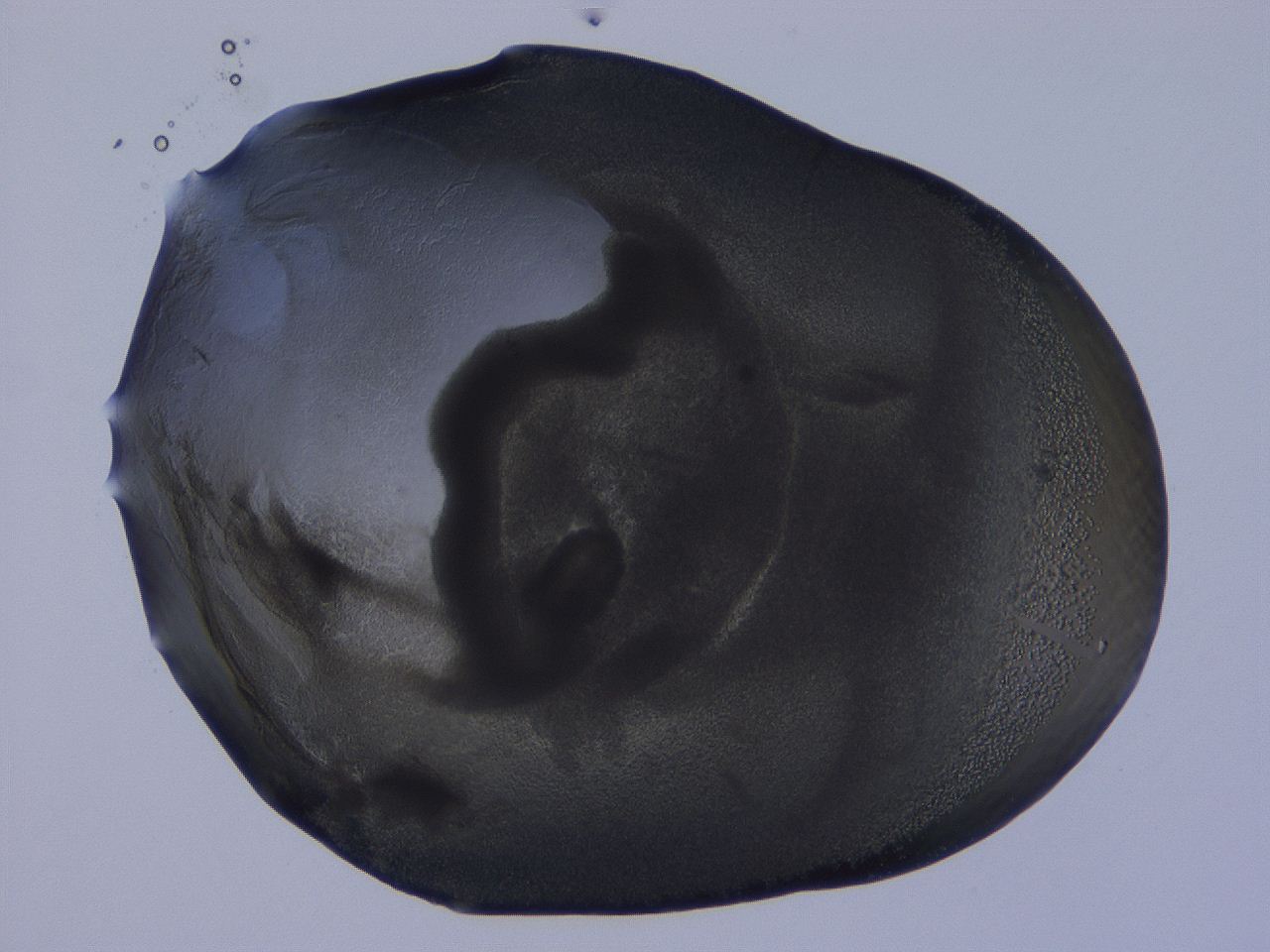 04b9_F6_ImagerDefaults_3.jpg