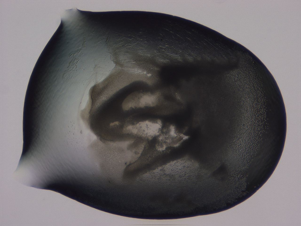 04b9_F7_ImagerDefaults_3.jpg
