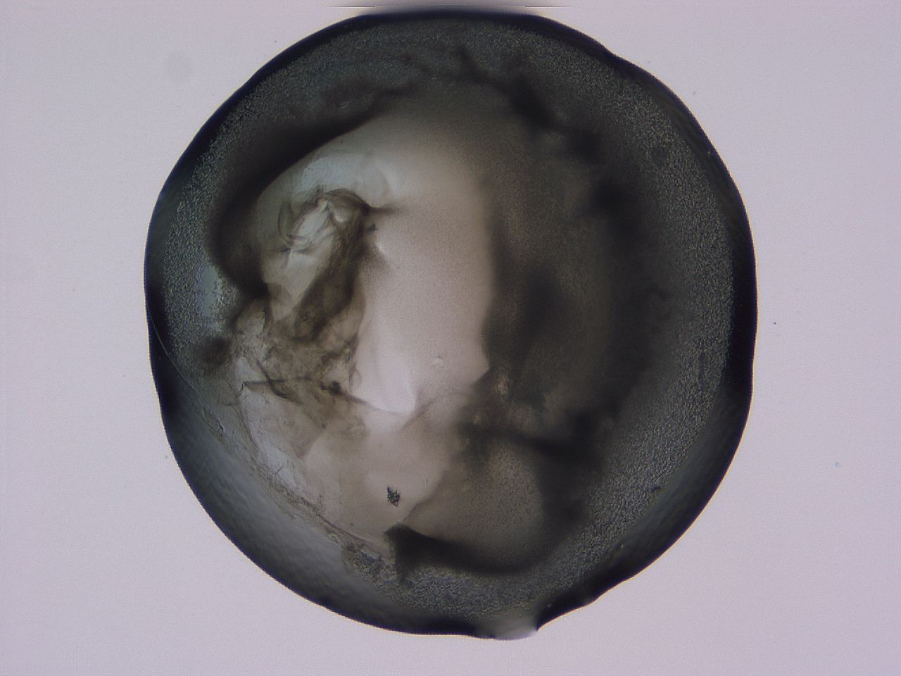 04b9_F8_ImagerDefaults_3.jpg