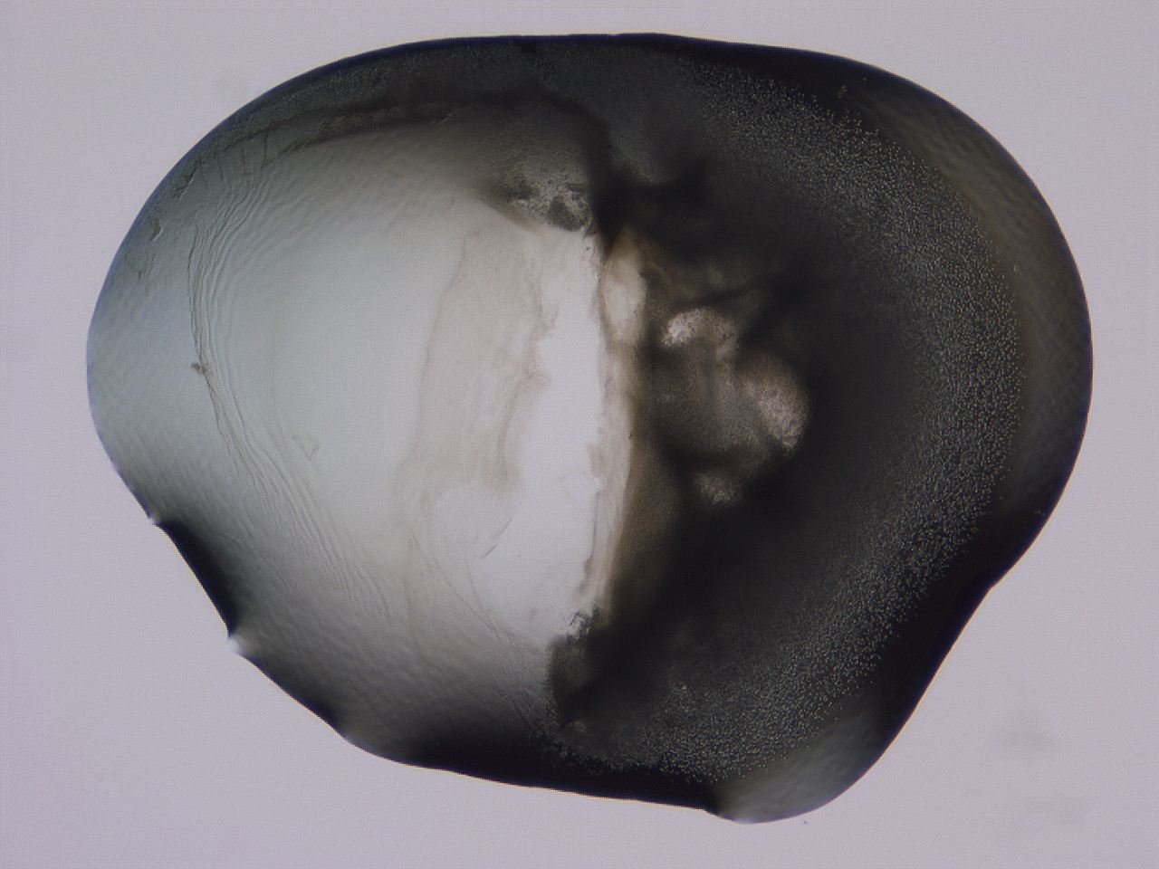 04b9_F9_ImagerDefaults_3.jpg