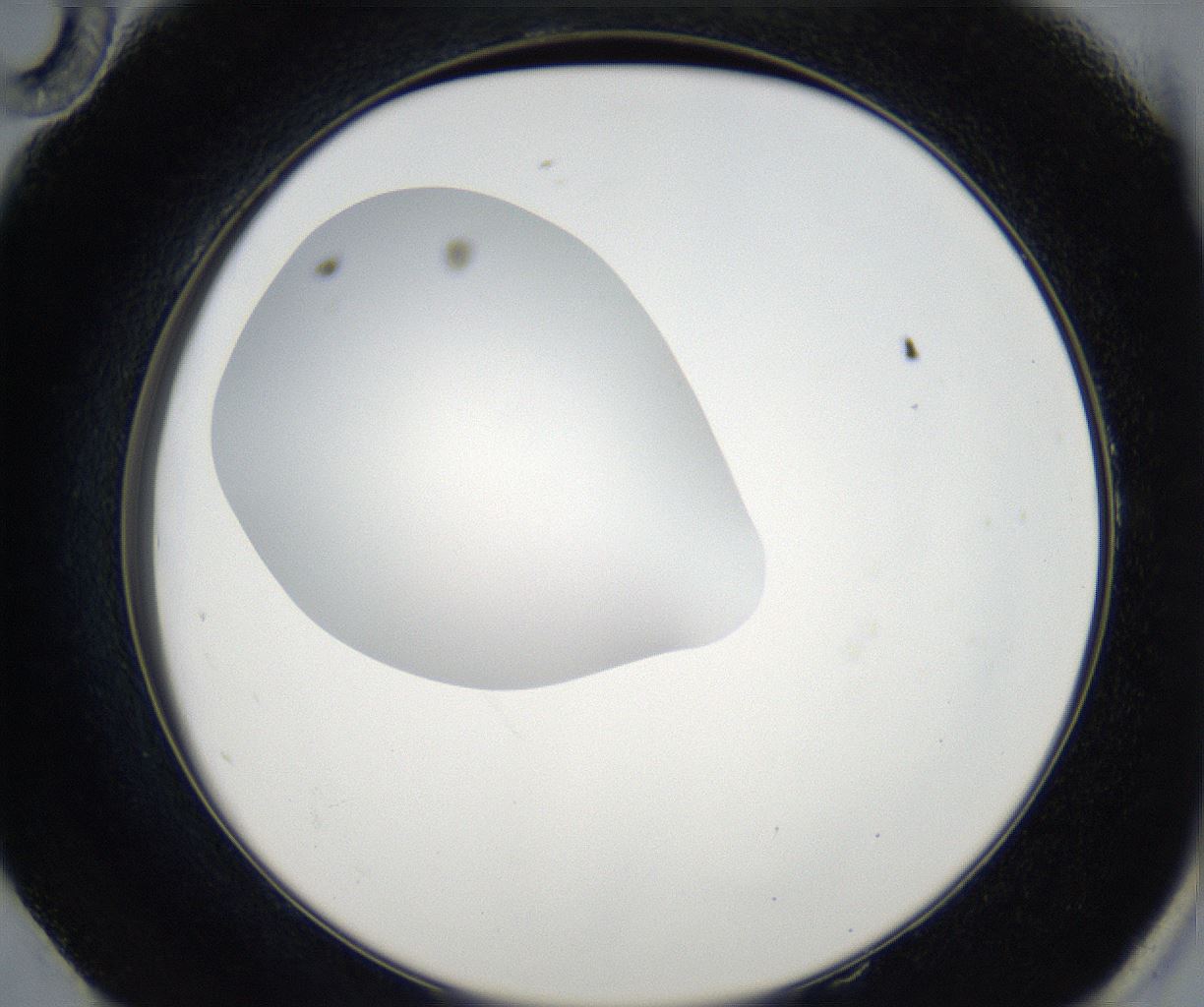 folderID67_plateID2067_batchID9352_wellNum58_profileID1_d2_r141665_ef.jpg