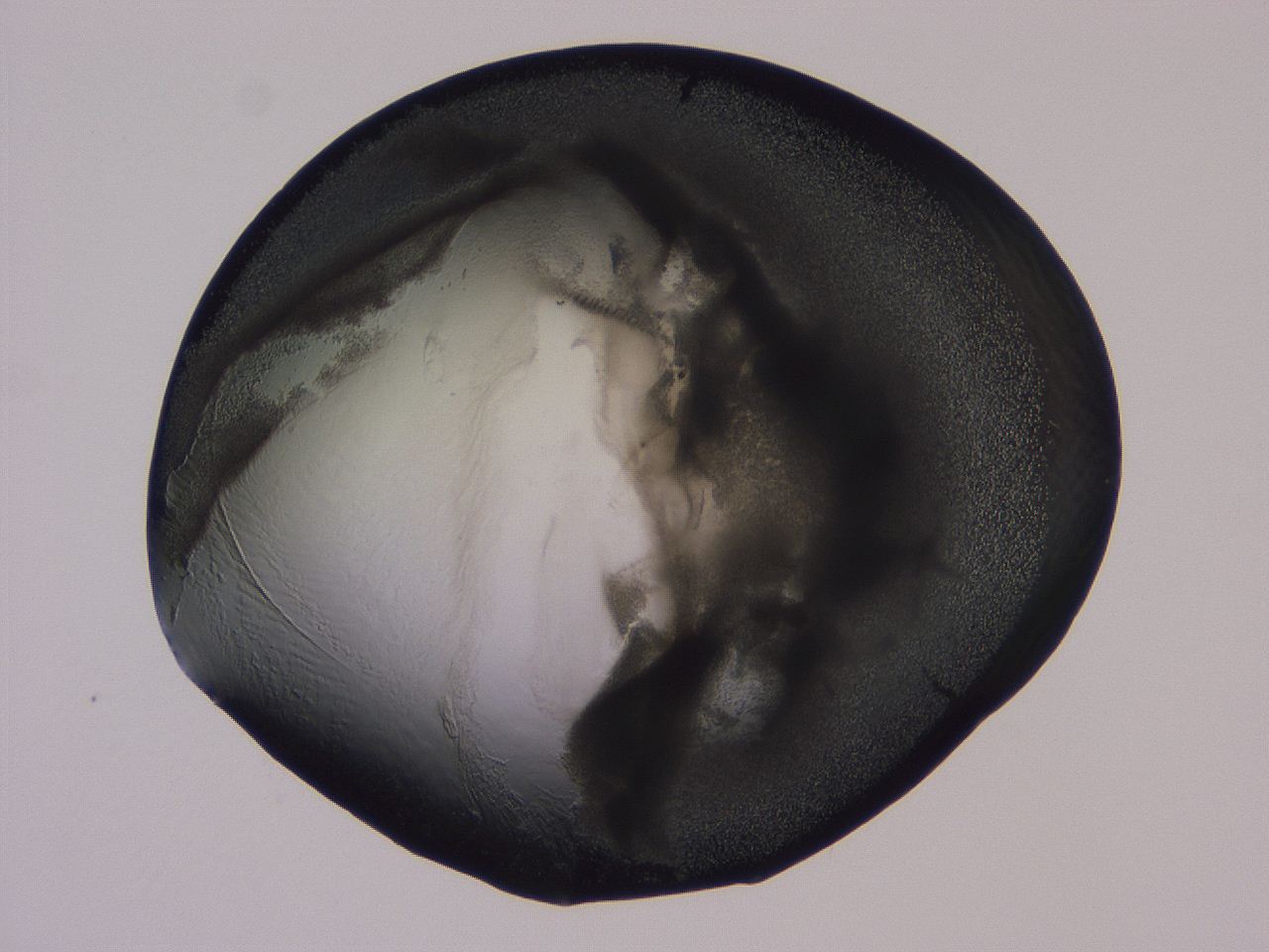 04b9_F11_ImagerDefaults_3.jpg