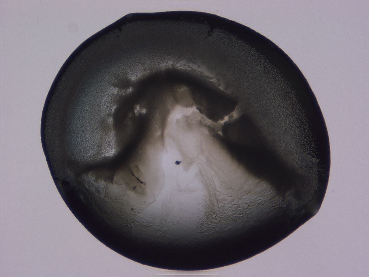 04b9_F12_ImagerDefaults_3.jpg