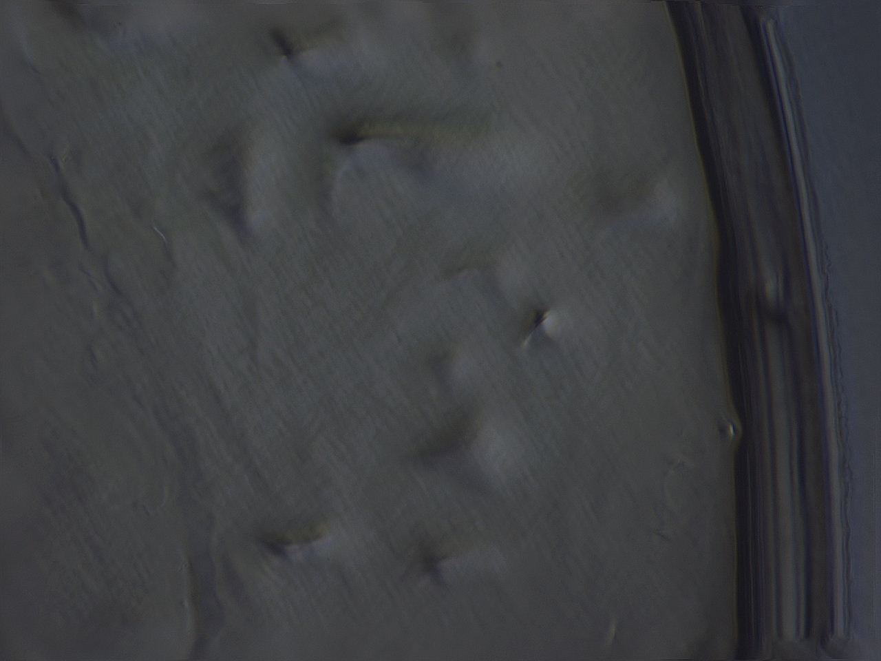 04b9_G2_ImagerDefaults_3.jpg