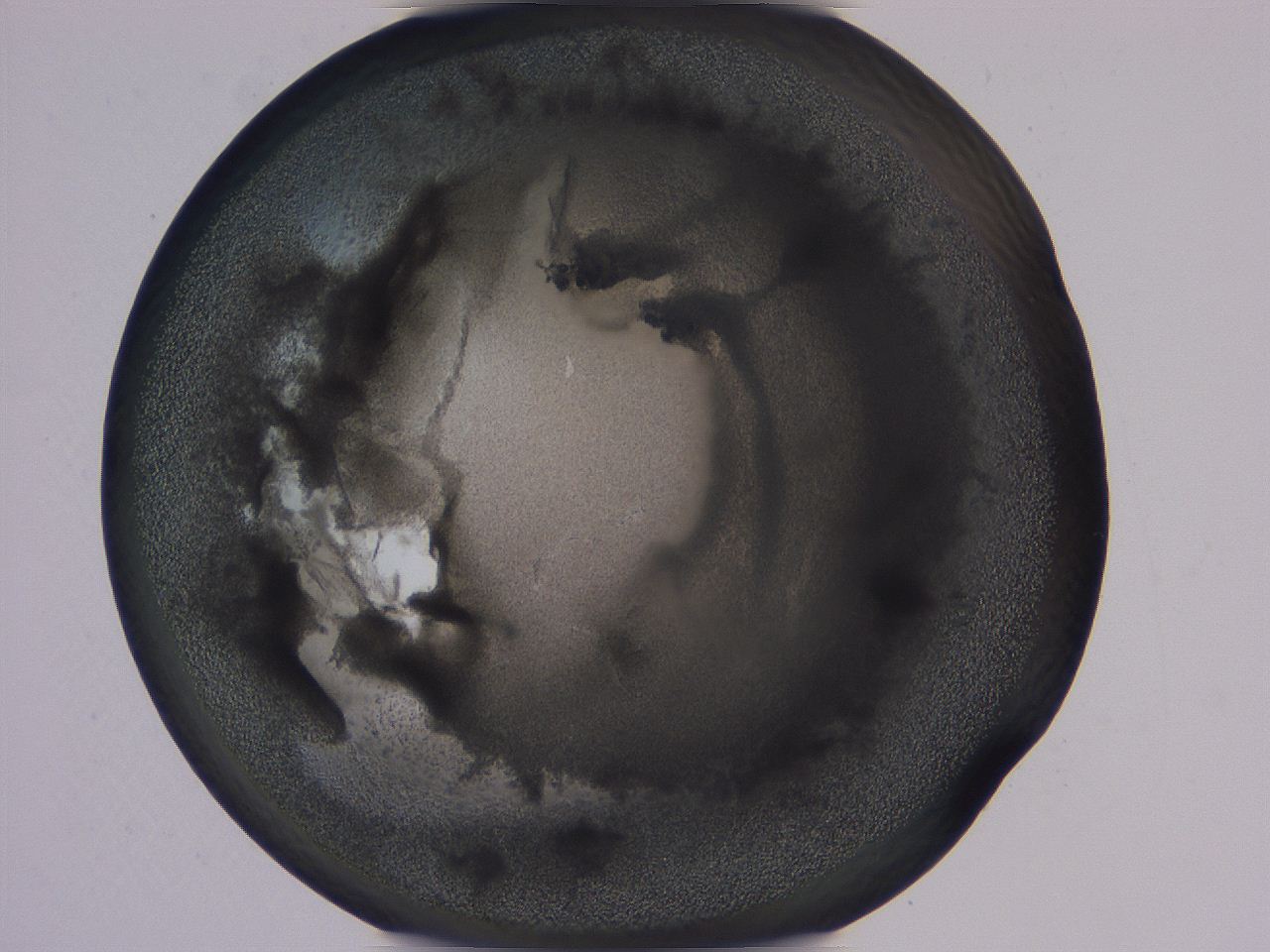 04b9_G9_ImagerDefaults_3.jpg