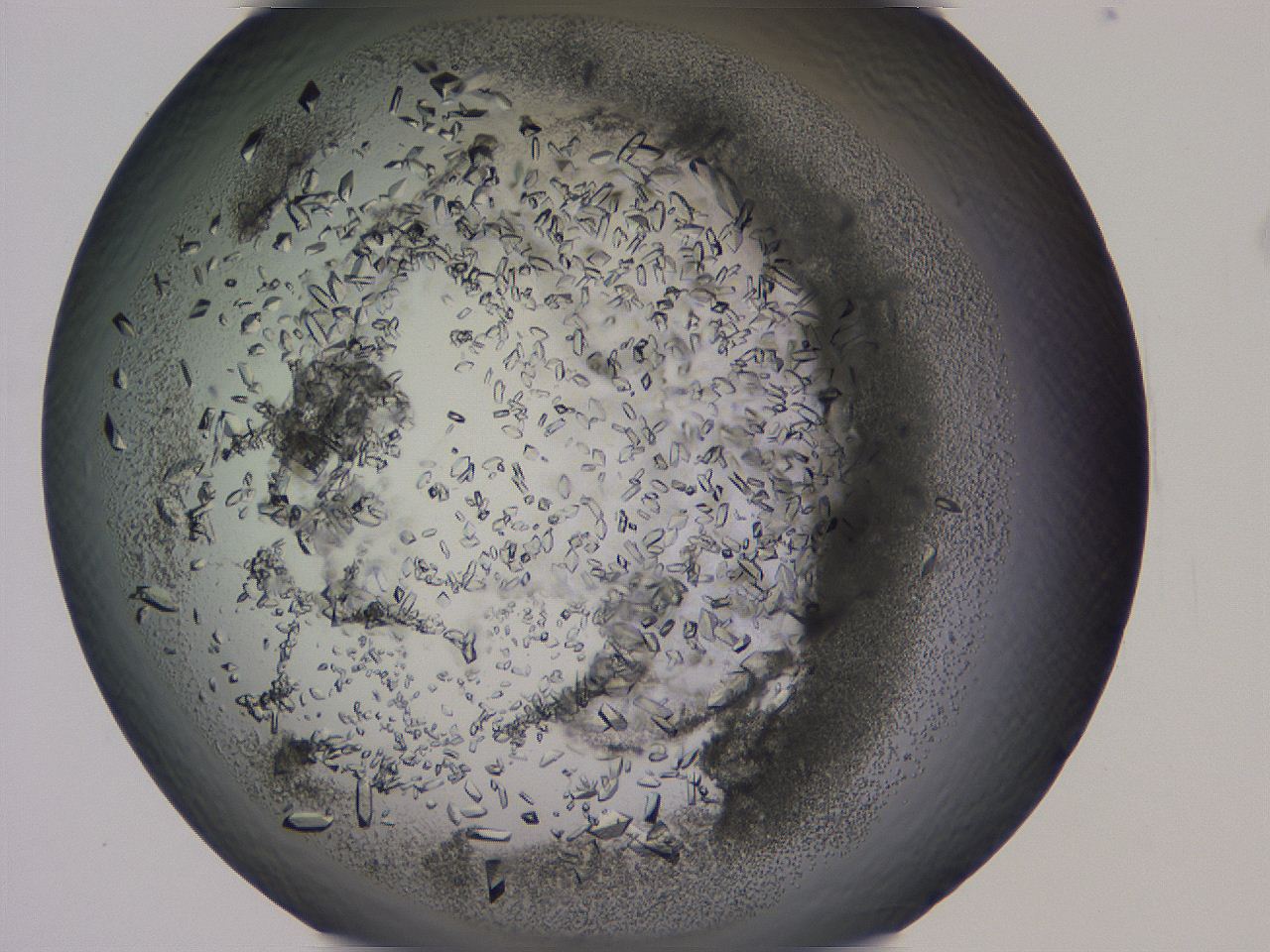 04b9_G10_ImagerDefaults_8.jpg