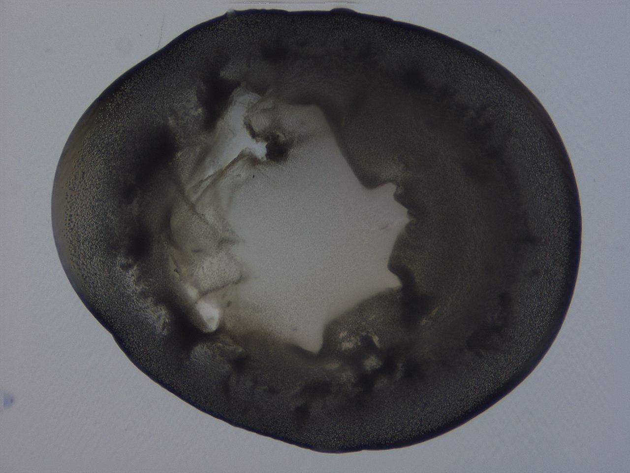 04b9_G11_ImagerDefaults_3.jpg