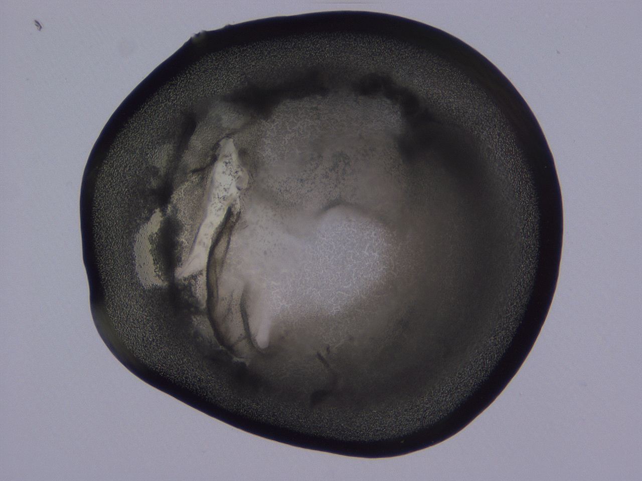 04b9_G12_ImagerDefaults_3.jpg