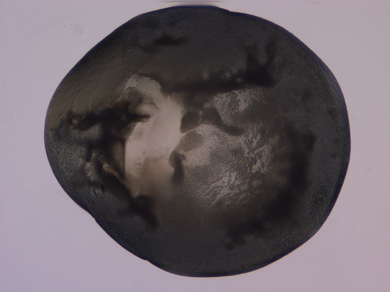 04b9_H2_ImagerDefaults_3.jpg