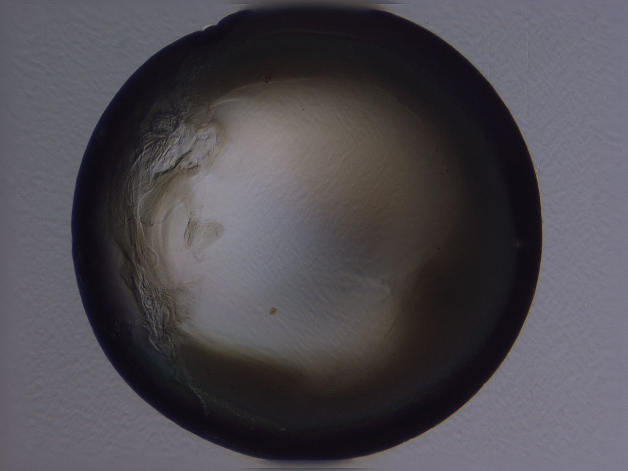 04b9_H5_ImagerDefaults_3.jpg