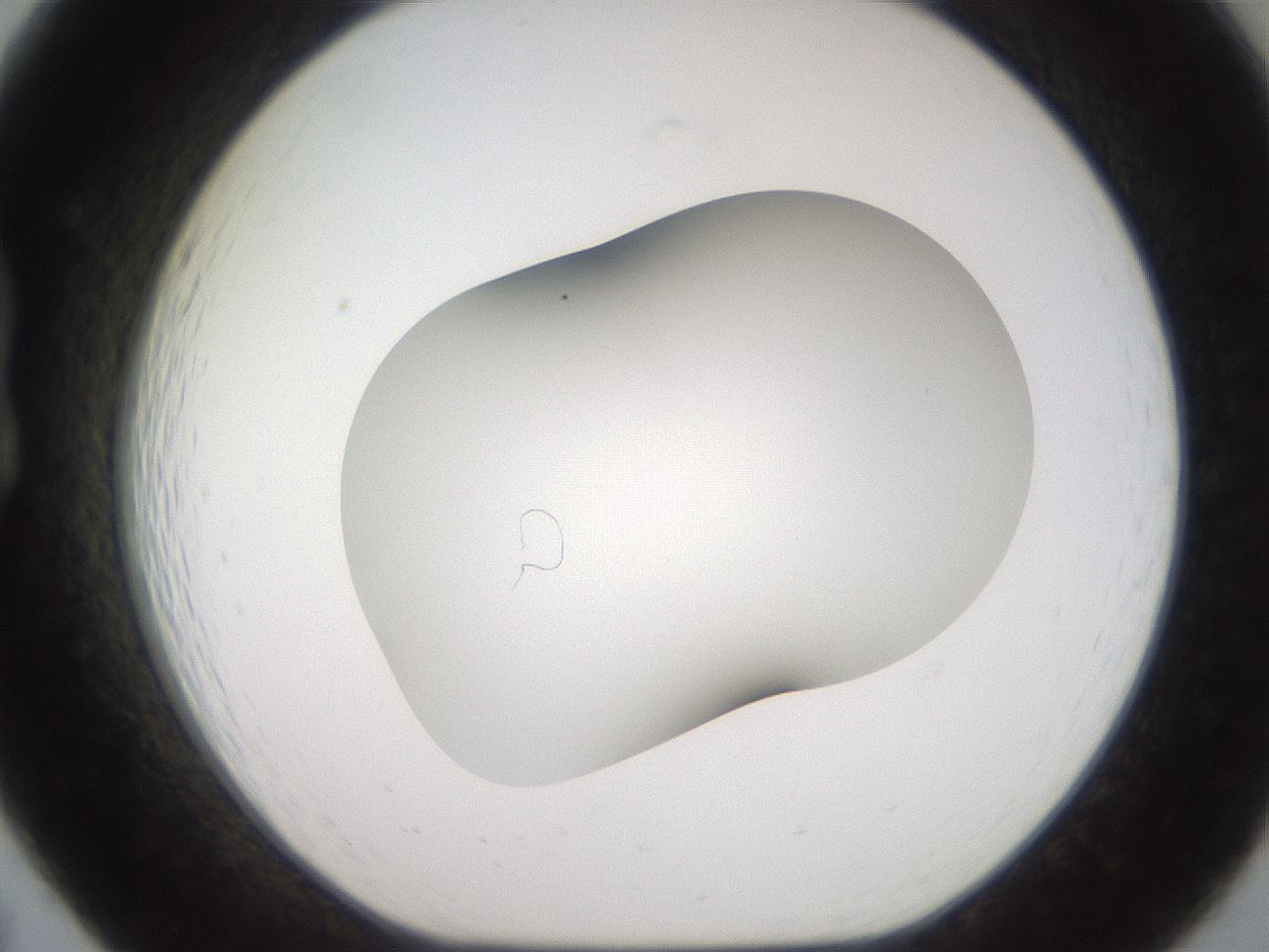 folderID682_plateID3682_batchID21885_wellNum19_profileID1_d1_r325461_ef.jpg