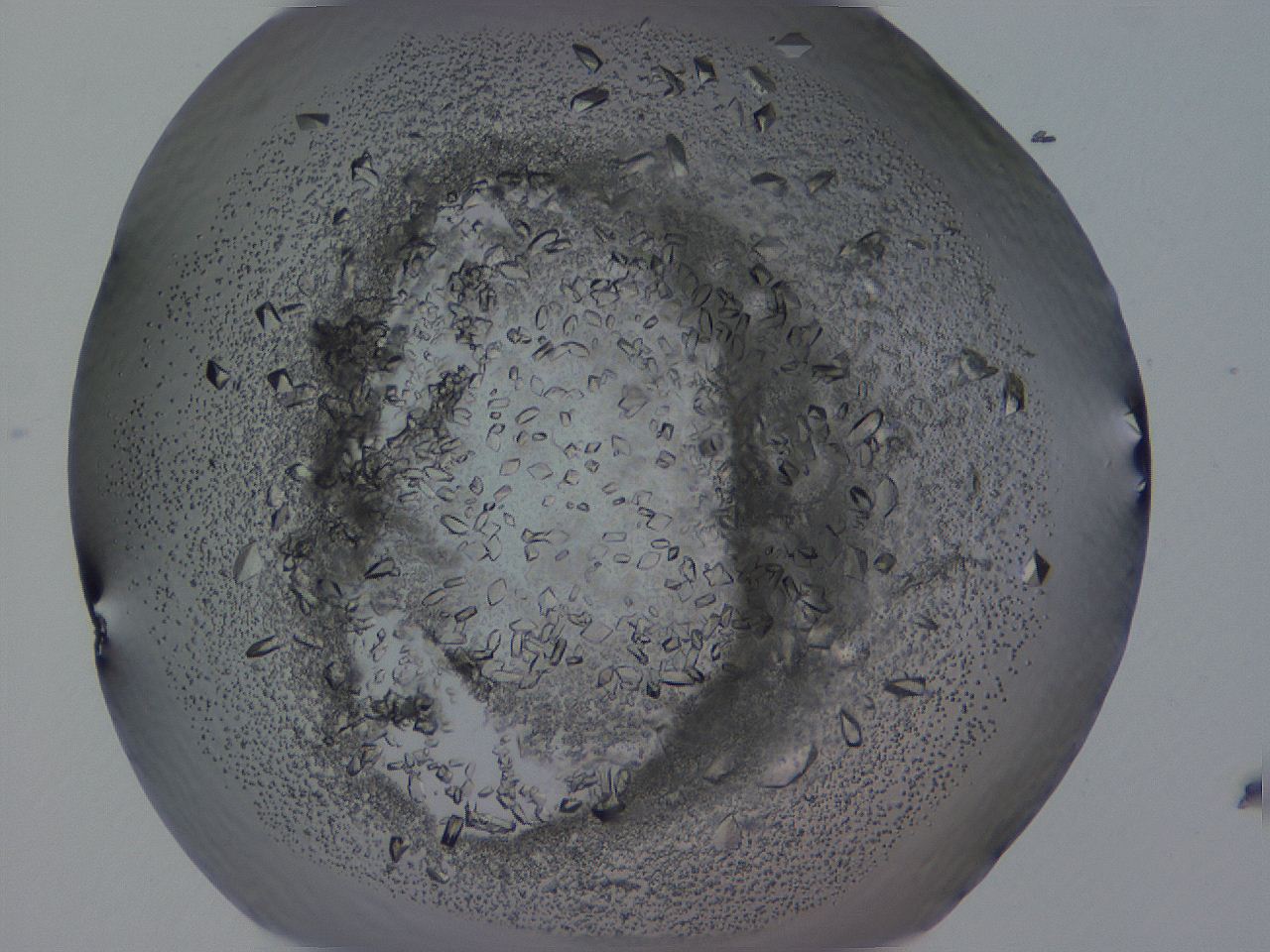 04b9_H11_ImagerDefaults_8.jpg