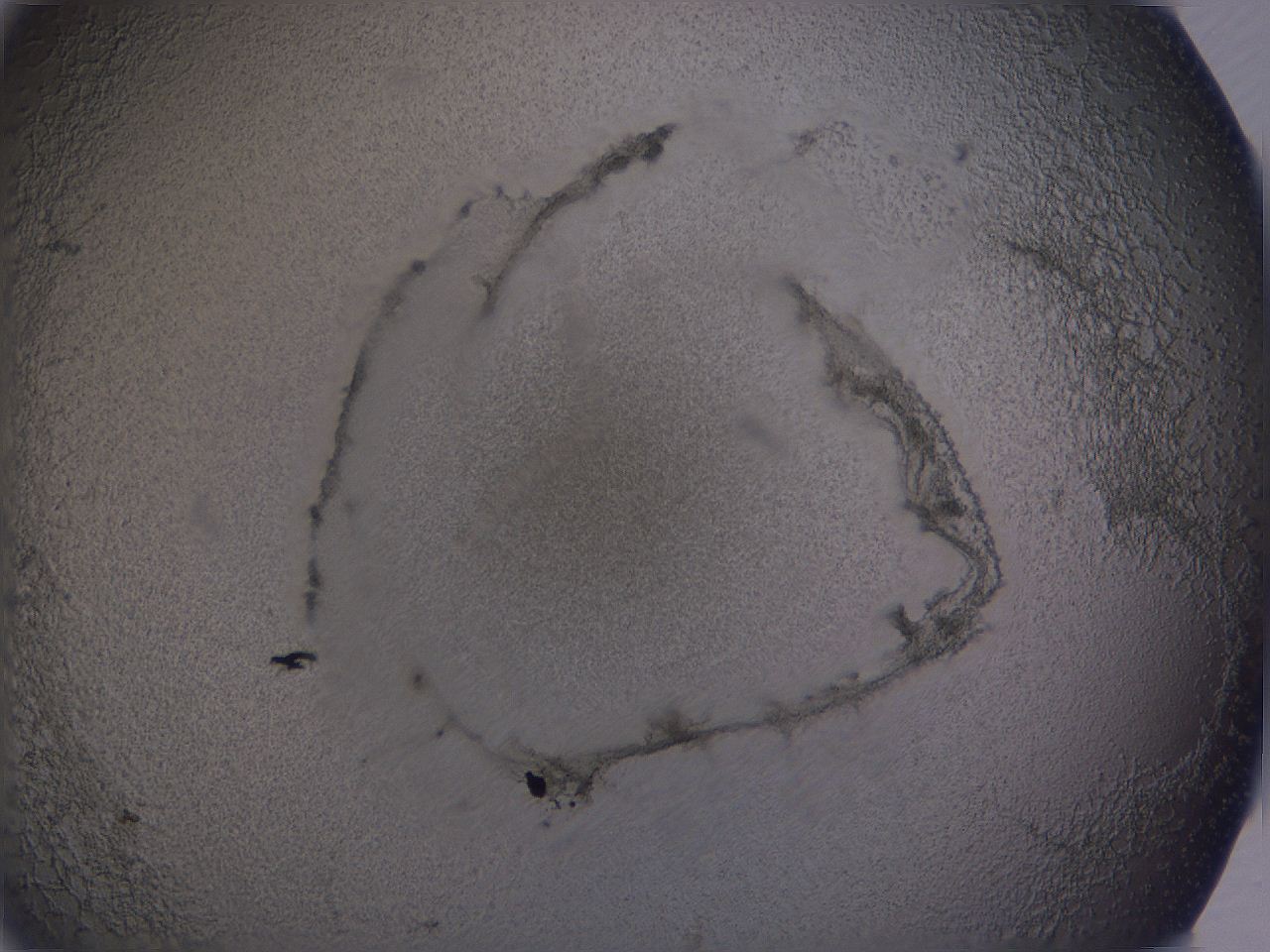 04b9_H12_ImagerDefaults_3.jpg