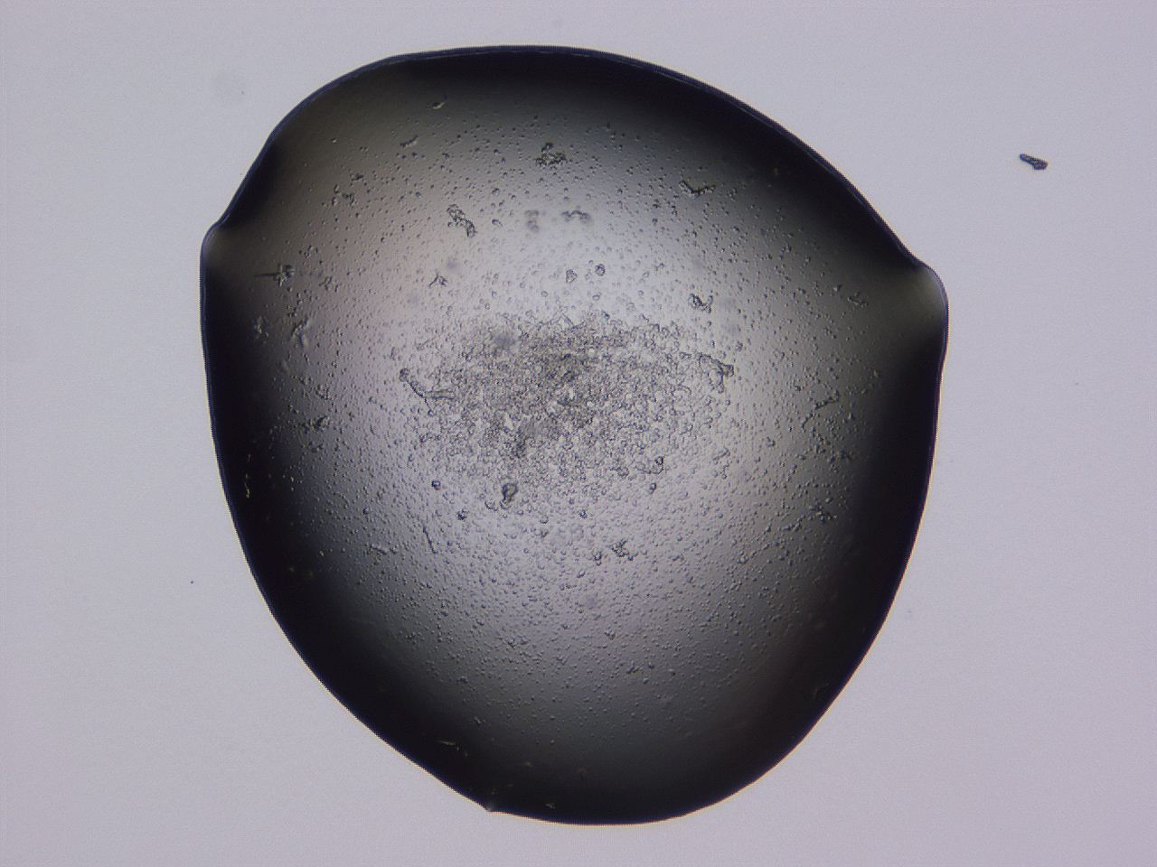 04ba_B12_ImagerDefaults_3.jpg