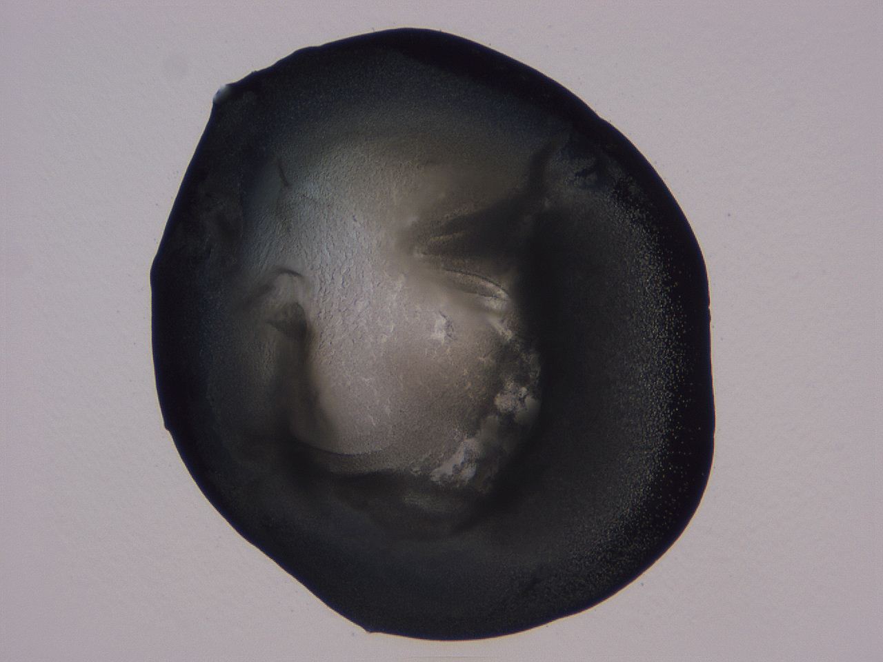 04ba_B10_ImagerDefaults_3.jpg