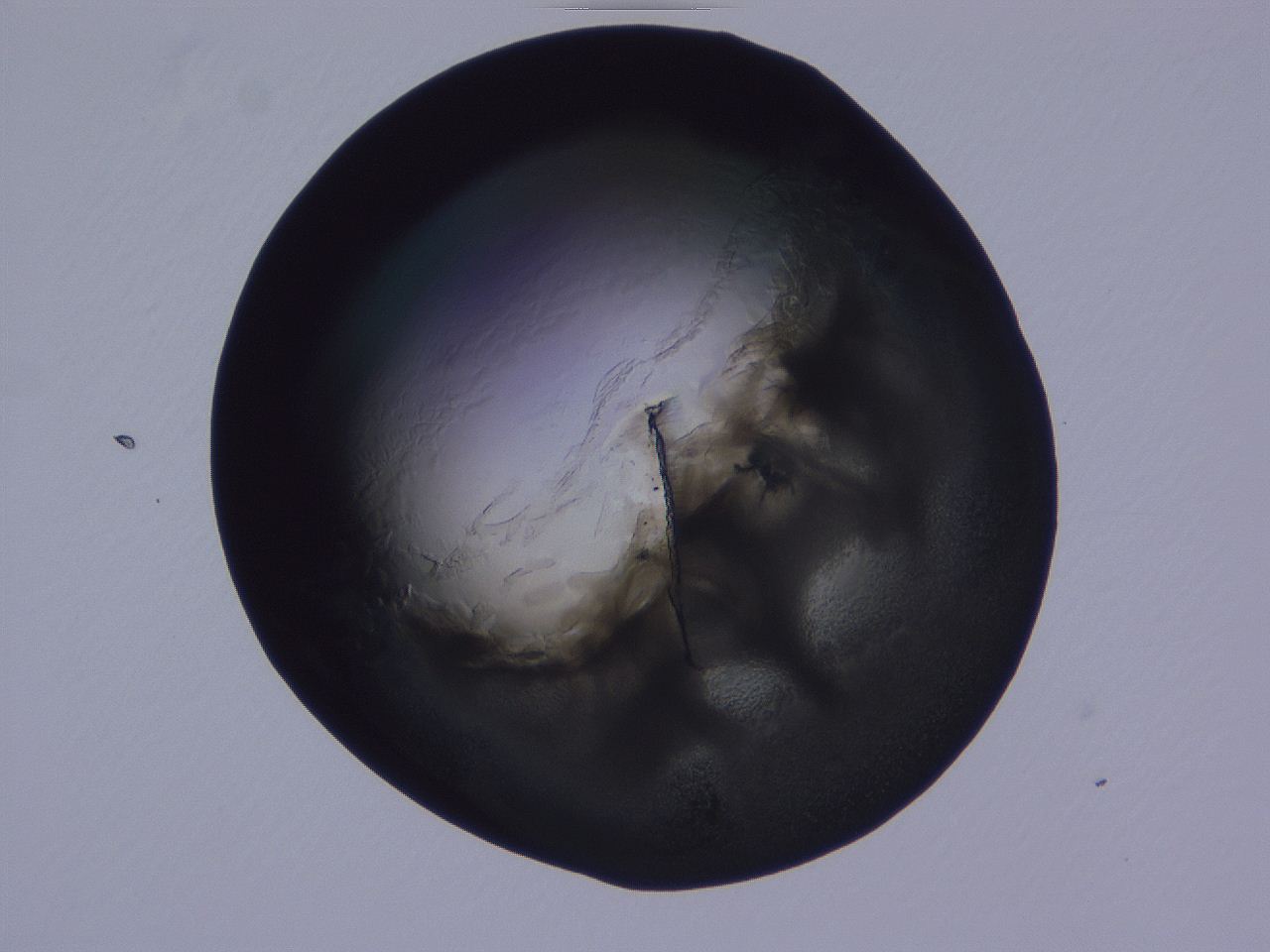 04ba_D5_ImagerDefaults_3.jpg