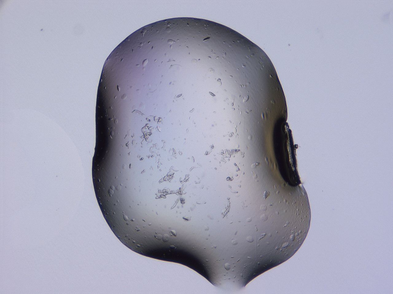 04ba_C1_ImagerDefaults_9.jpg
