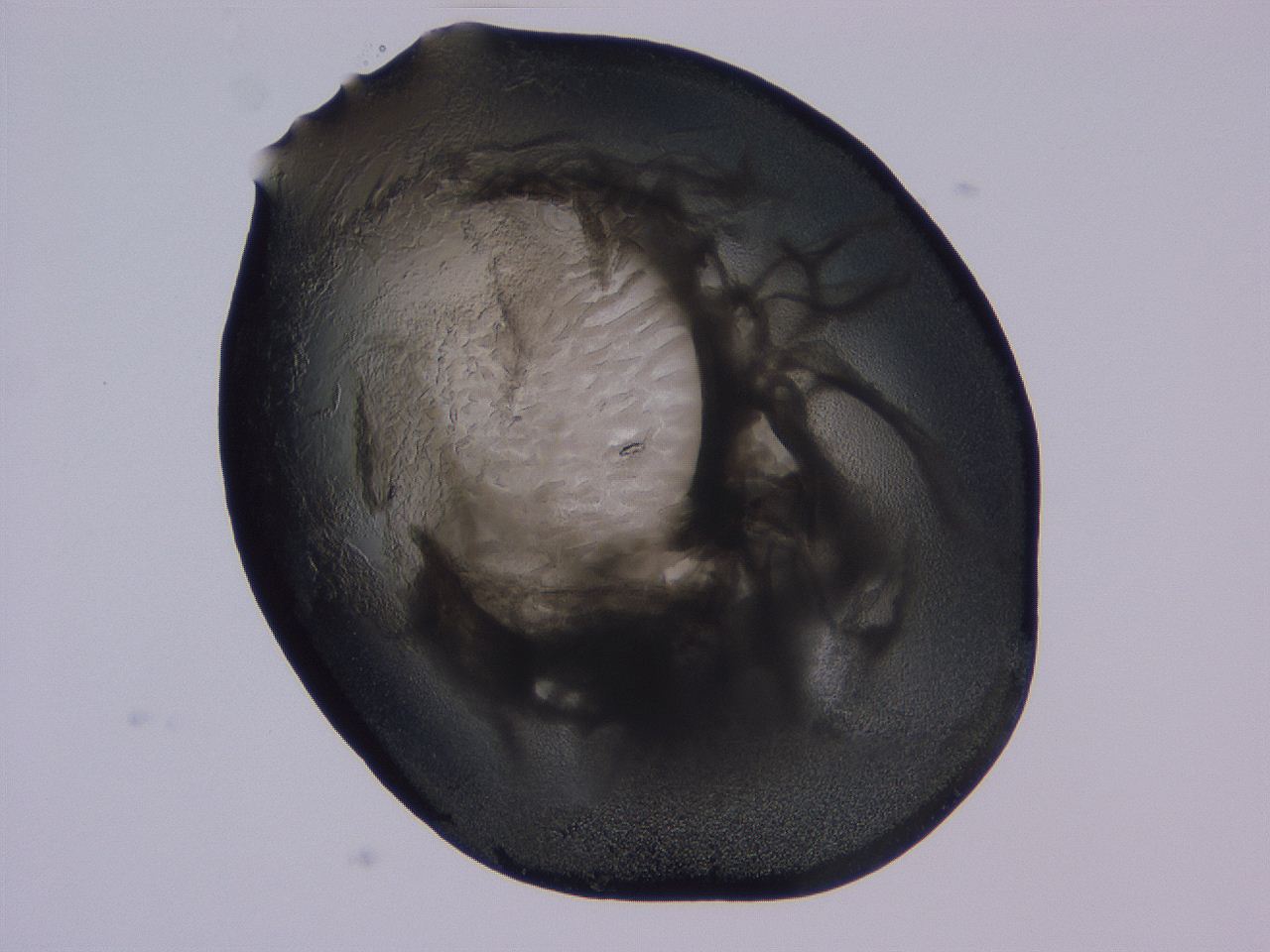 04ba_D7_ImagerDefaults_3.jpg