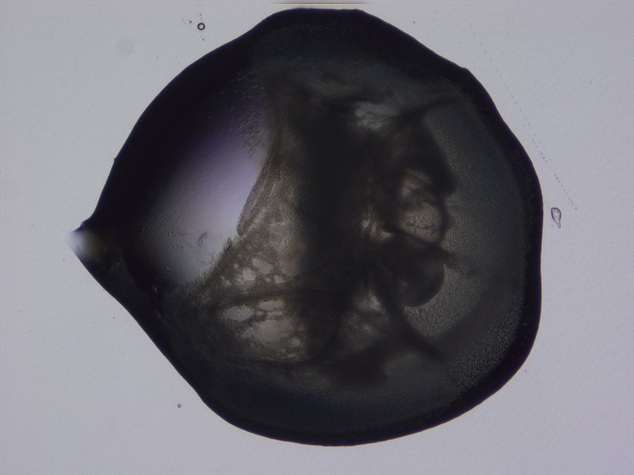 04ba_D8_ImagerDefaults_3.jpg