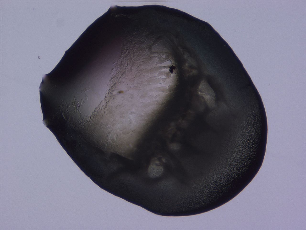 04ba_D10_ImagerDefaults_3.jpg