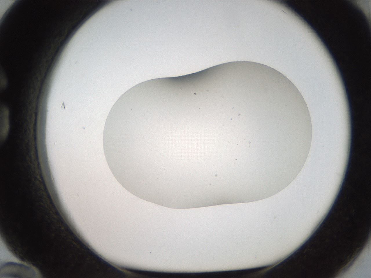 folderID684_plateID3684_batchID22338_wellNum84_profileID1_d1_r325207_ef.jpg