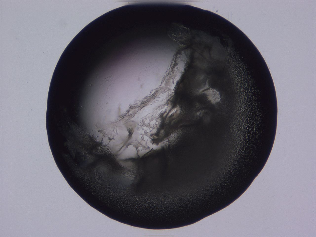 04ba_D11_ImagerDefaults_3.jpg