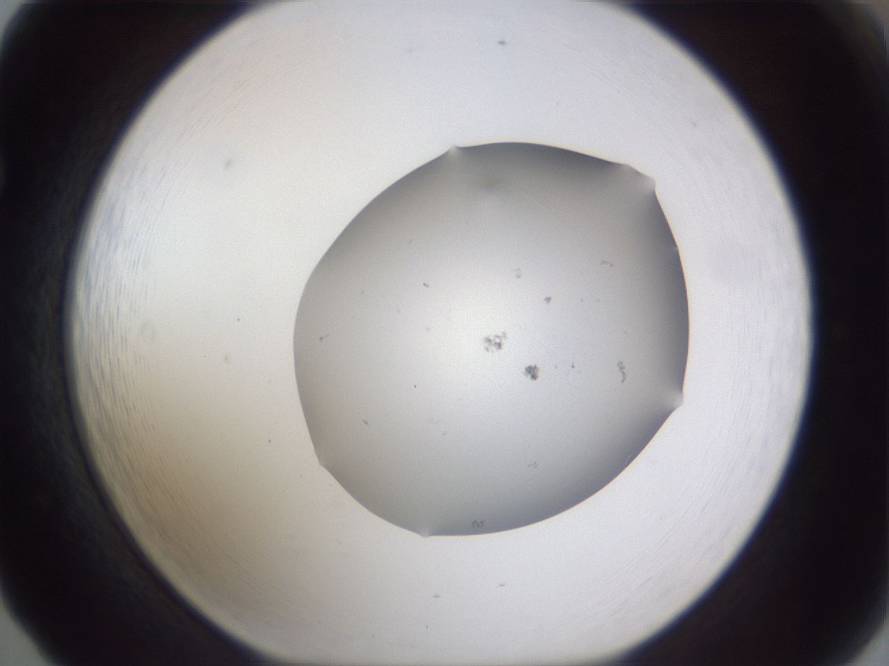 folderID685_plateID3685_batchID22005_wellNum65_profileID1_d1_r324977_ef.jpg
