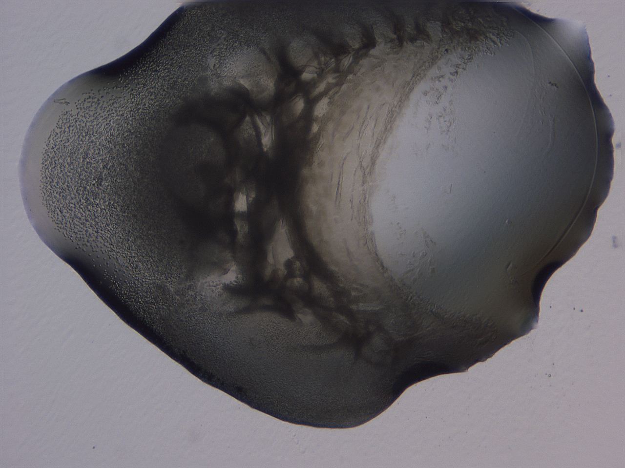 04ba_B2_ImagerDefaults_3.jpg