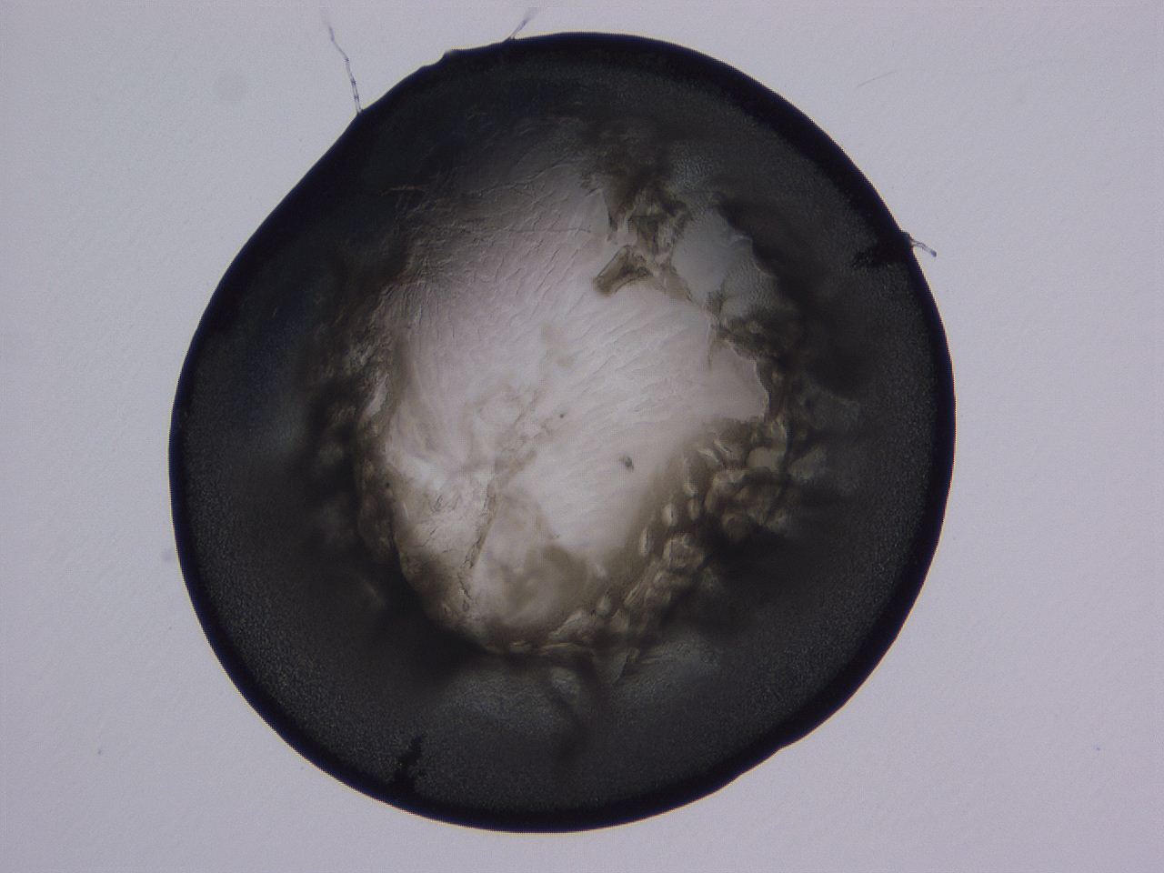 04ba_A12_ImagerDefaults_3.jpg