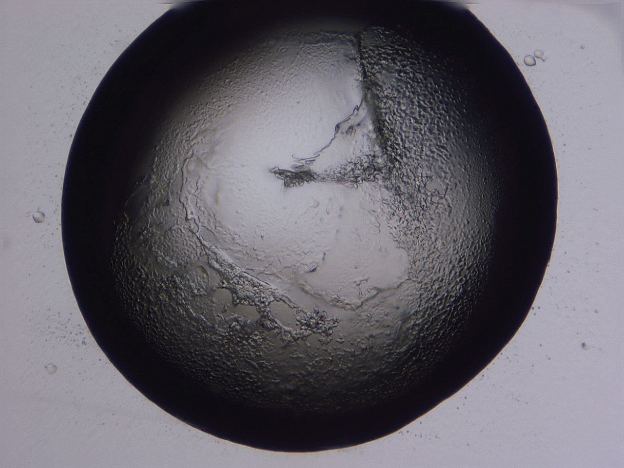 04ba_A11_ImagerDefaults_3.jpg