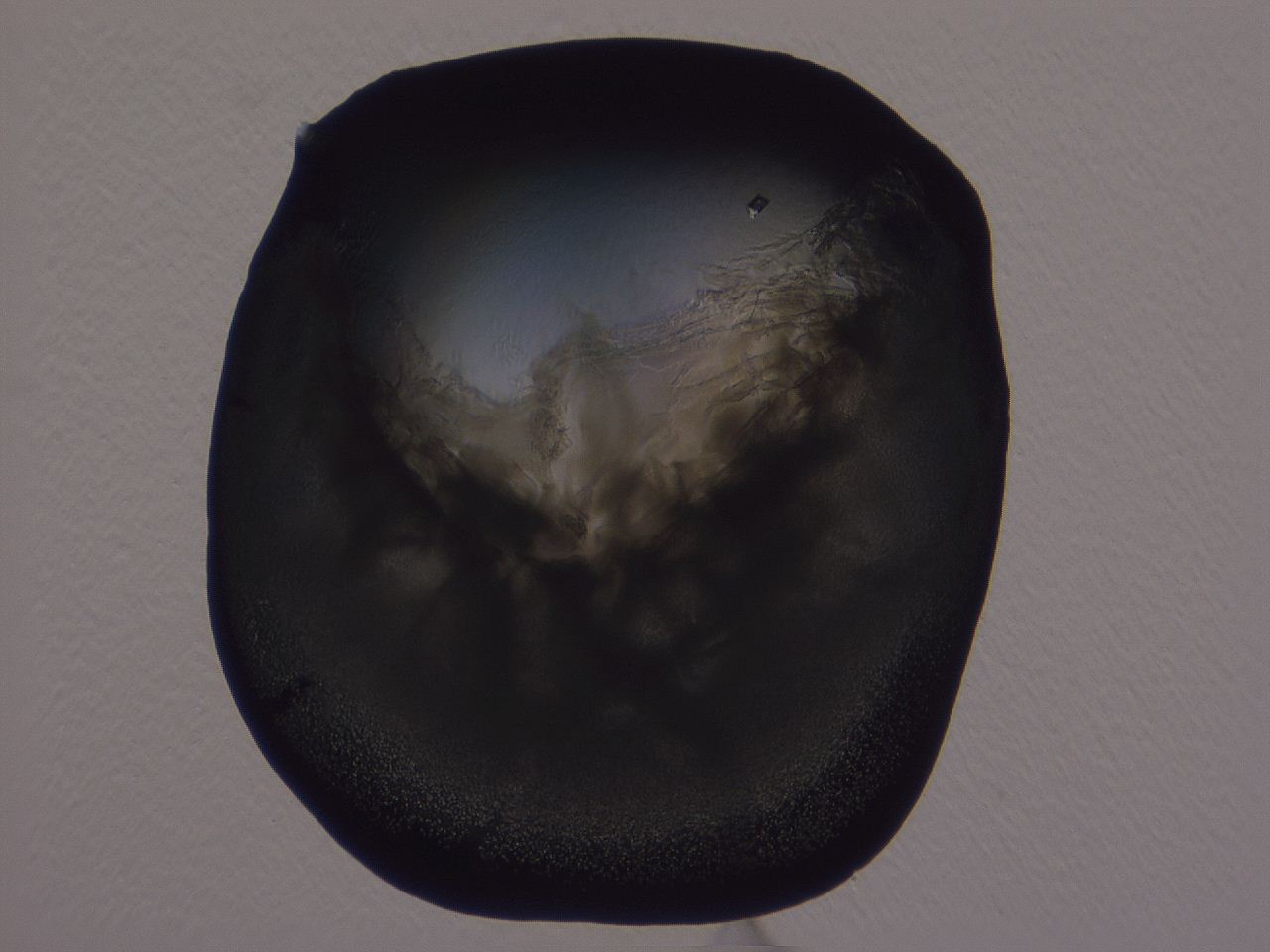 04ba_A10_ImagerDefaults_3.jpg
