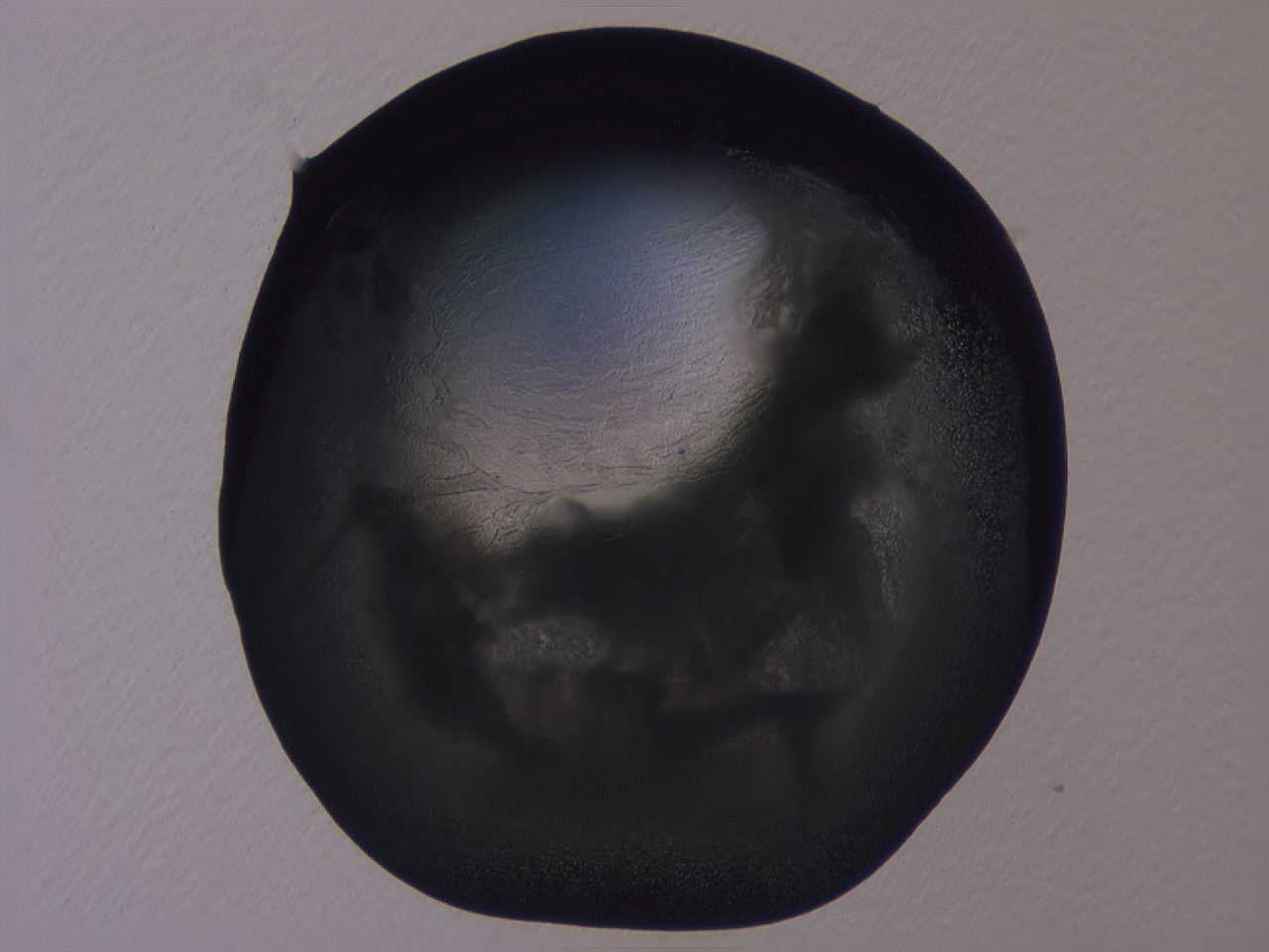 04ba_A9_ImagerDefaults_3.jpg