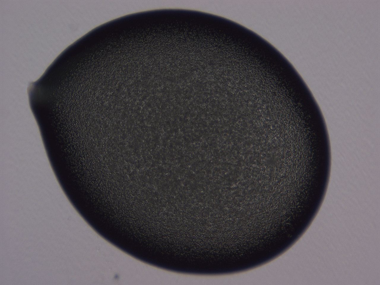 04ba_A6_ImagerDefaults_3.jpg