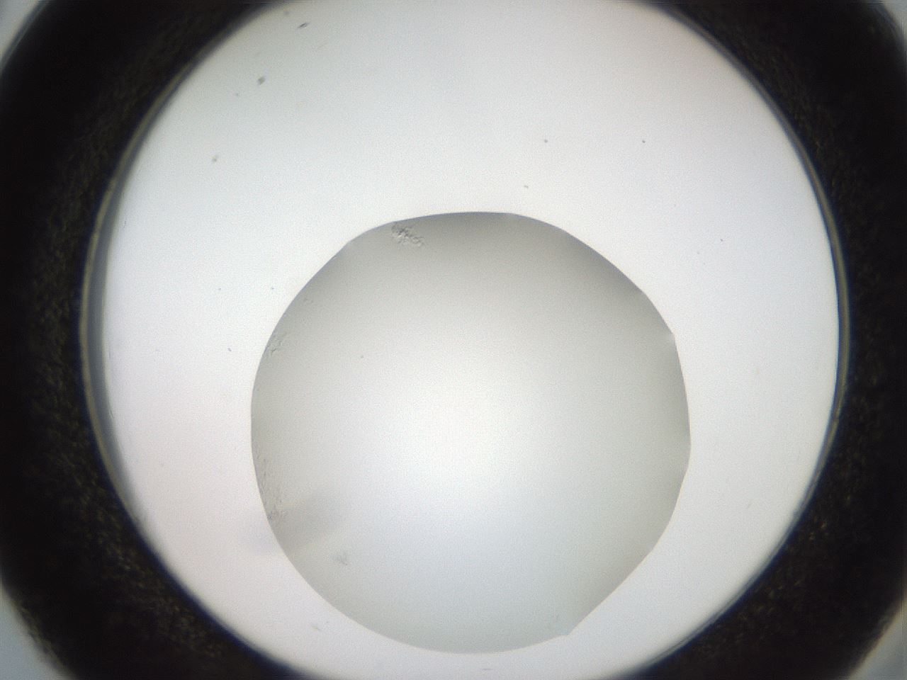 folderID686_plateID3686_batchID22162_wellNum38_profileID1_d2_r324540_ef.jpg