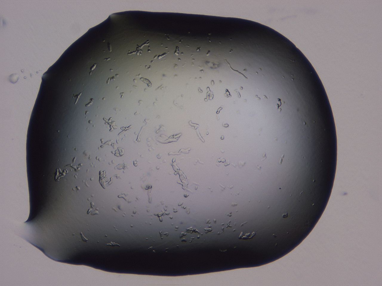04ba_C6_ImagerDefaults_0.jpg