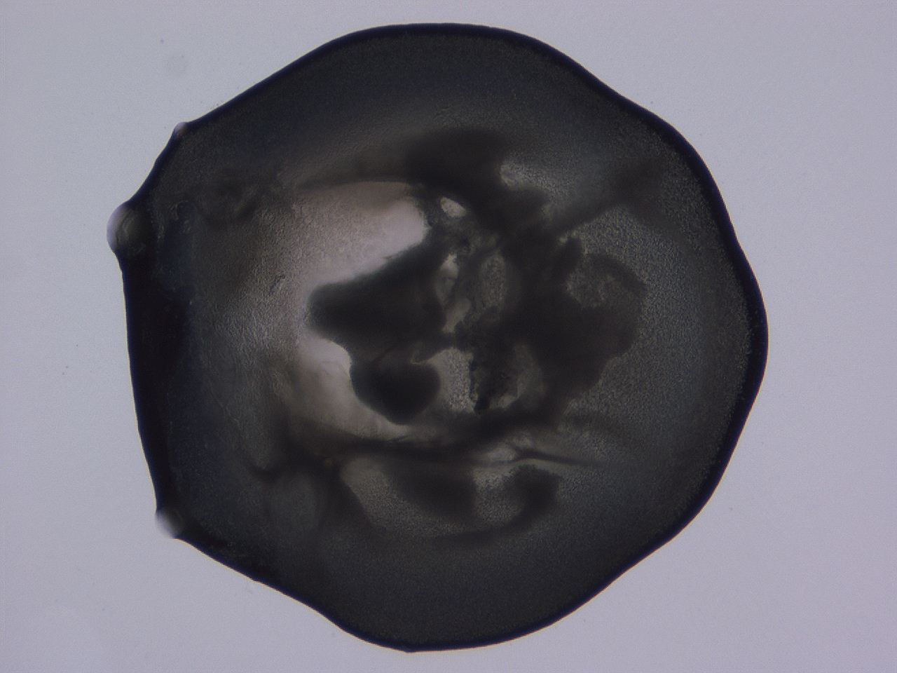 04ba_C8_ImagerDefaults_3.jpg