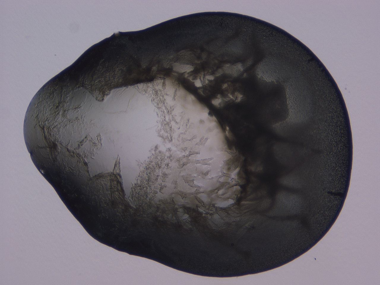 04ba_C10_ImagerDefaults_3.jpg