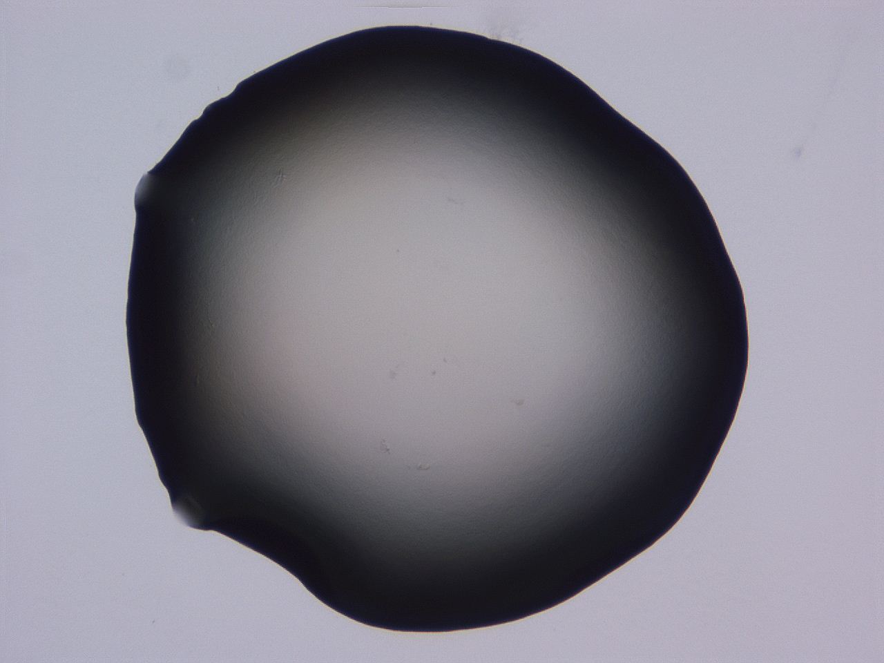 04ba_C11_ImagerDefaults_0.jpg