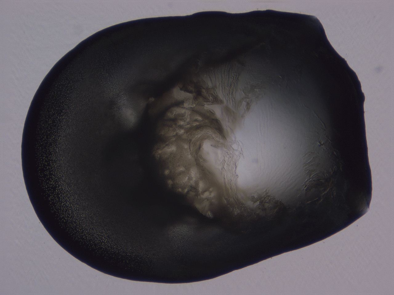 04ba_A3_ImagerDefaults_3.jpg