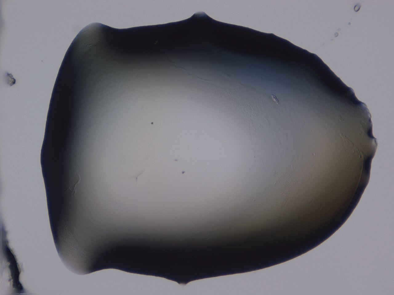 04ba_F1_ImagerDefaults_0.jpg