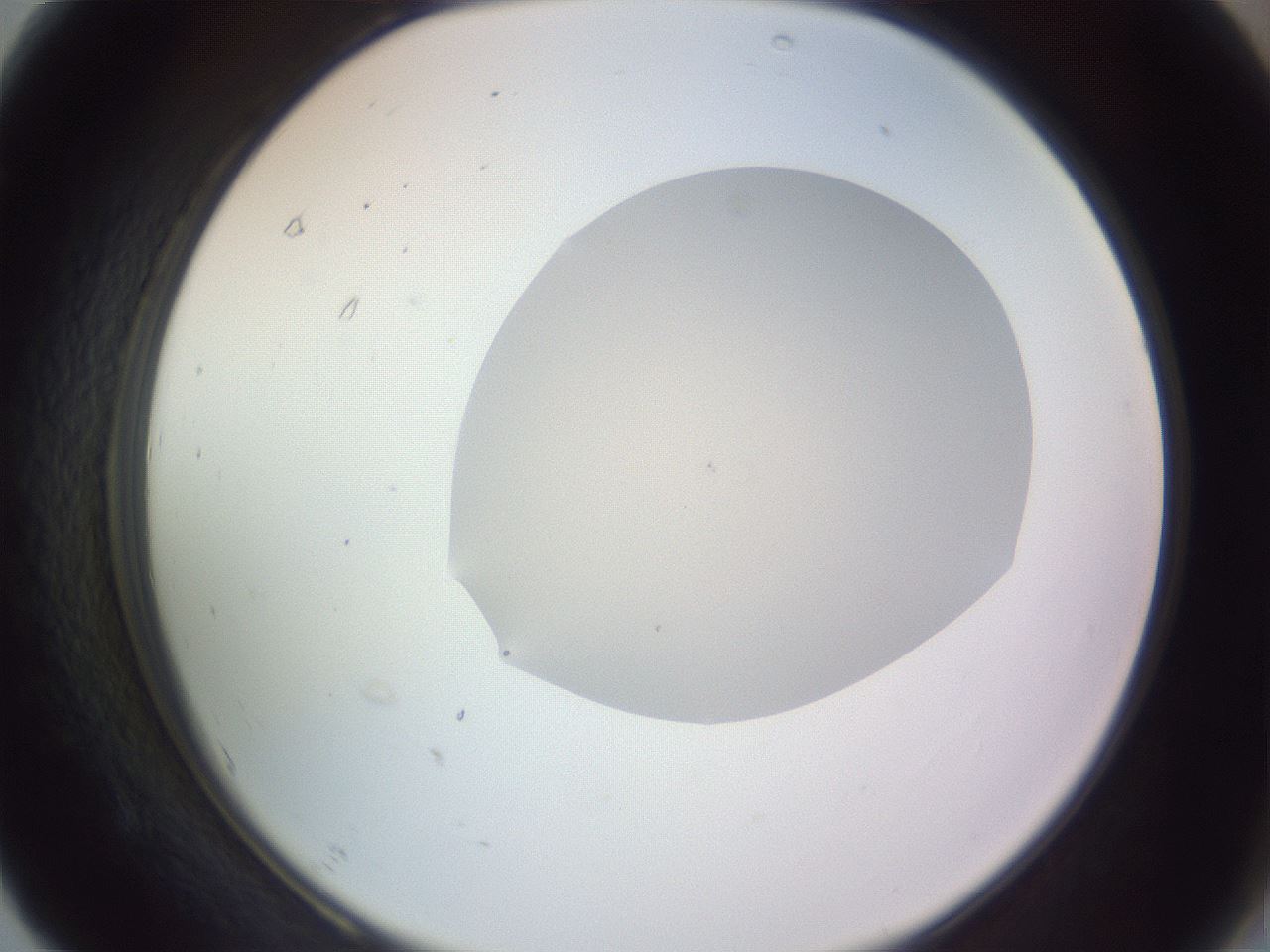 folderID68_plateID3068_batchID18610_wellNum67_profileID1_d2_r265323_ef.jpg