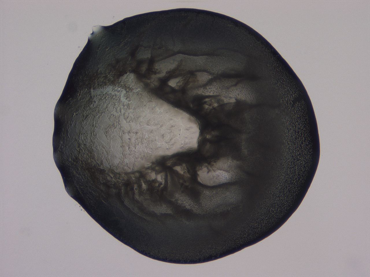 04ba_F11_ImagerDefaults_3.jpg