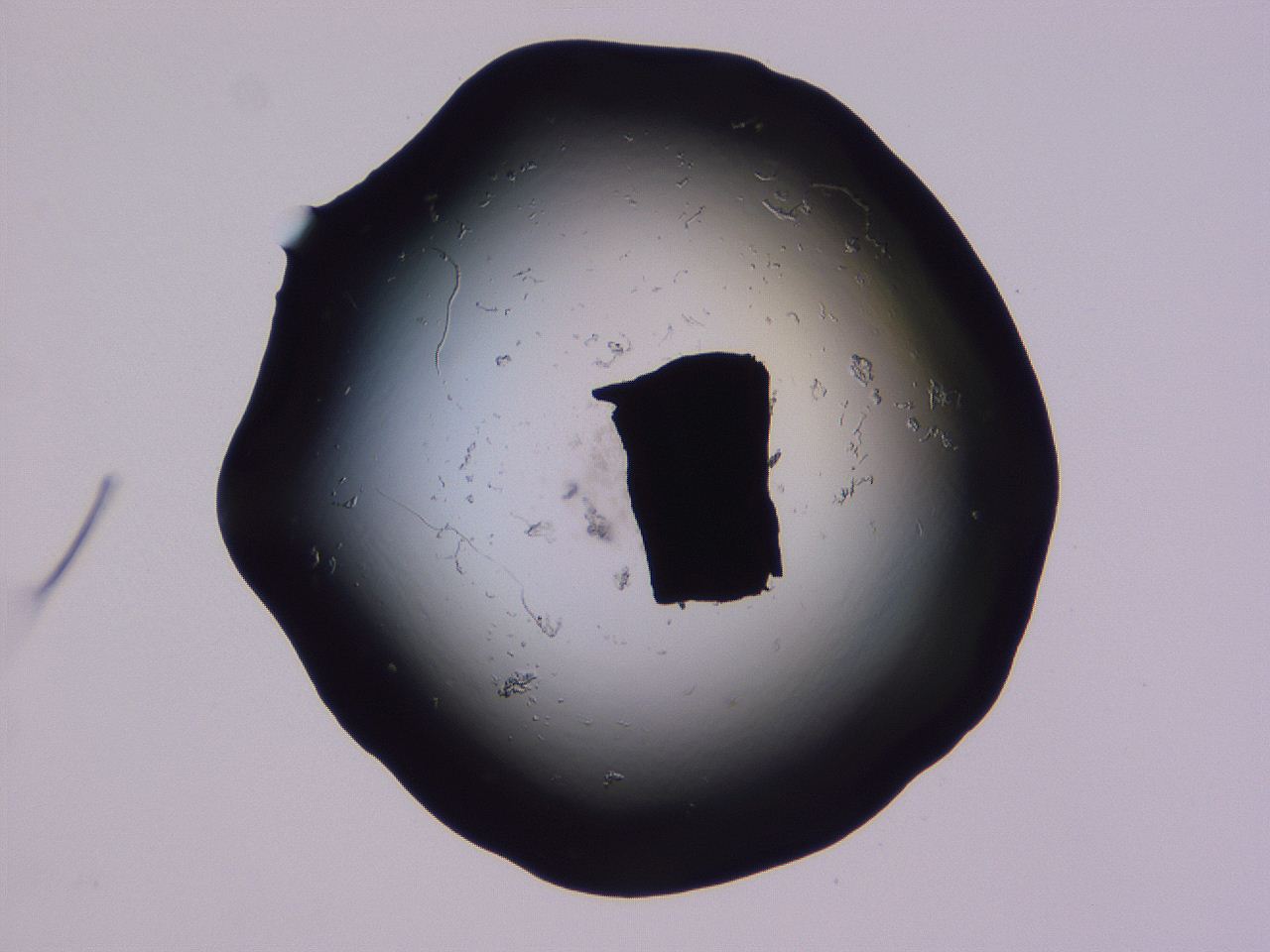 04ba_F12_ImagerDefaults_0.jpg