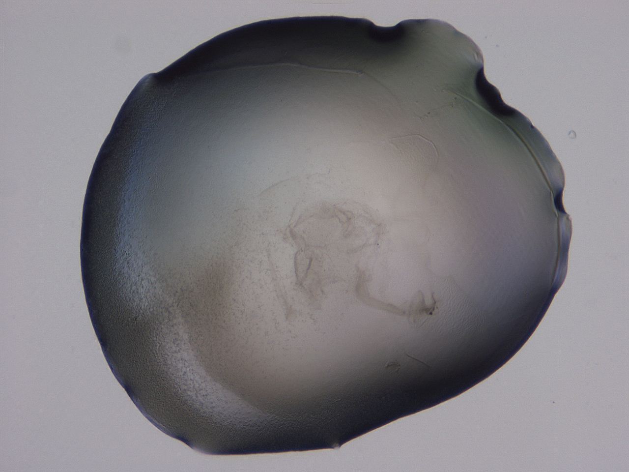 04ba_G1_ImagerDefaults_3.jpg