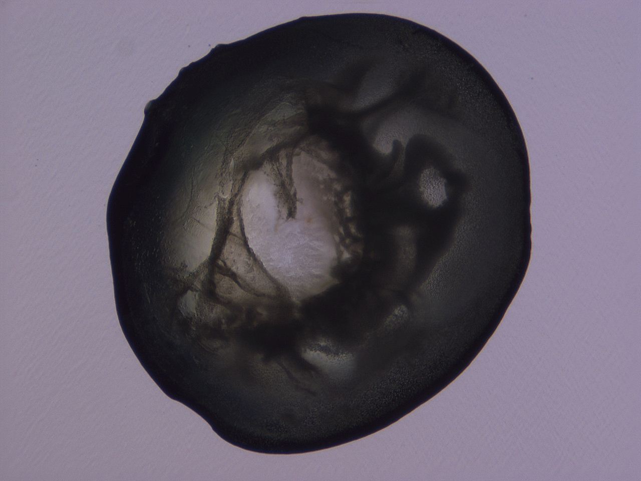 04ba_G7_ImagerDefaults_3.jpg