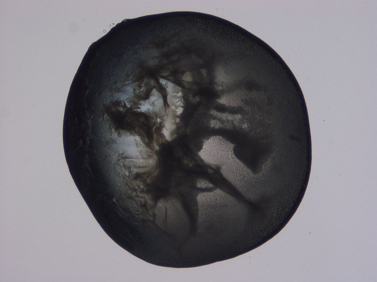 04ba_G9_ImagerDefaults_3.jpg
